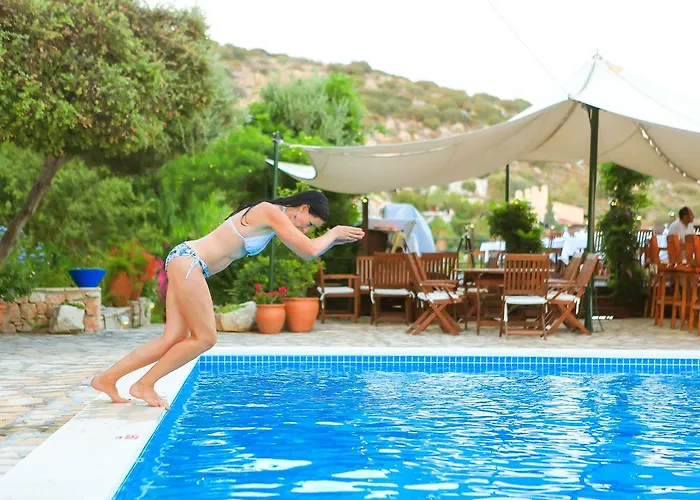 Diva Allsuite Каш